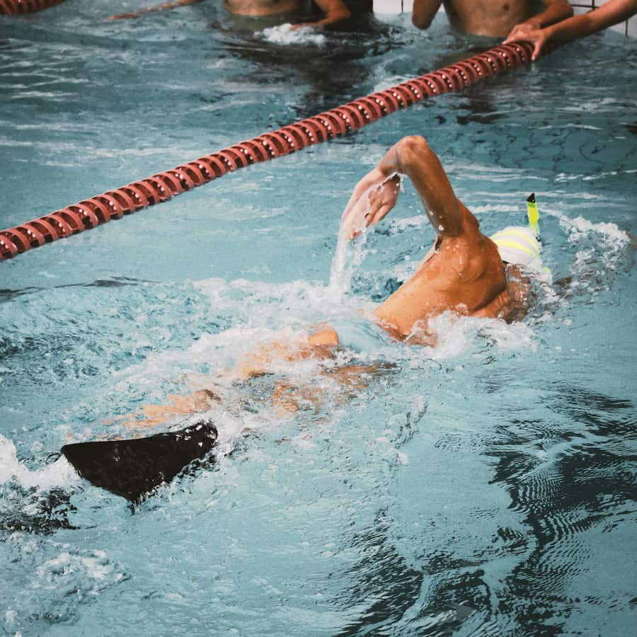 Adult group swimmers training in pool lanes